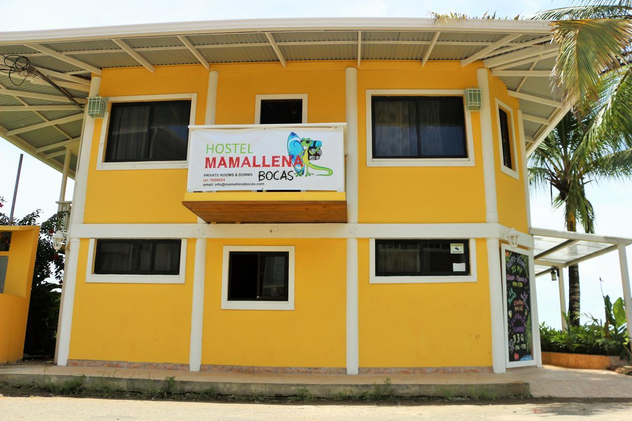 Hostel Mamallena Bocas Del Toro (Adults Only) Eksteriør billede