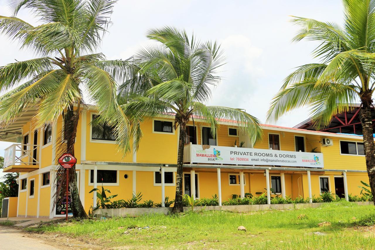 Hostel Mamallena Bocas Del Toro (Adults Only) Eksteriør billede