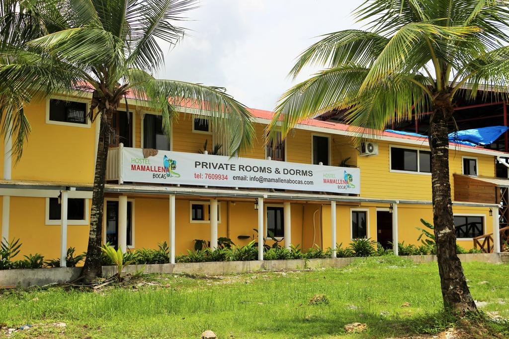 Hostel Mamallena Bocas Del Toro (Adults Only) Eksteriør billede