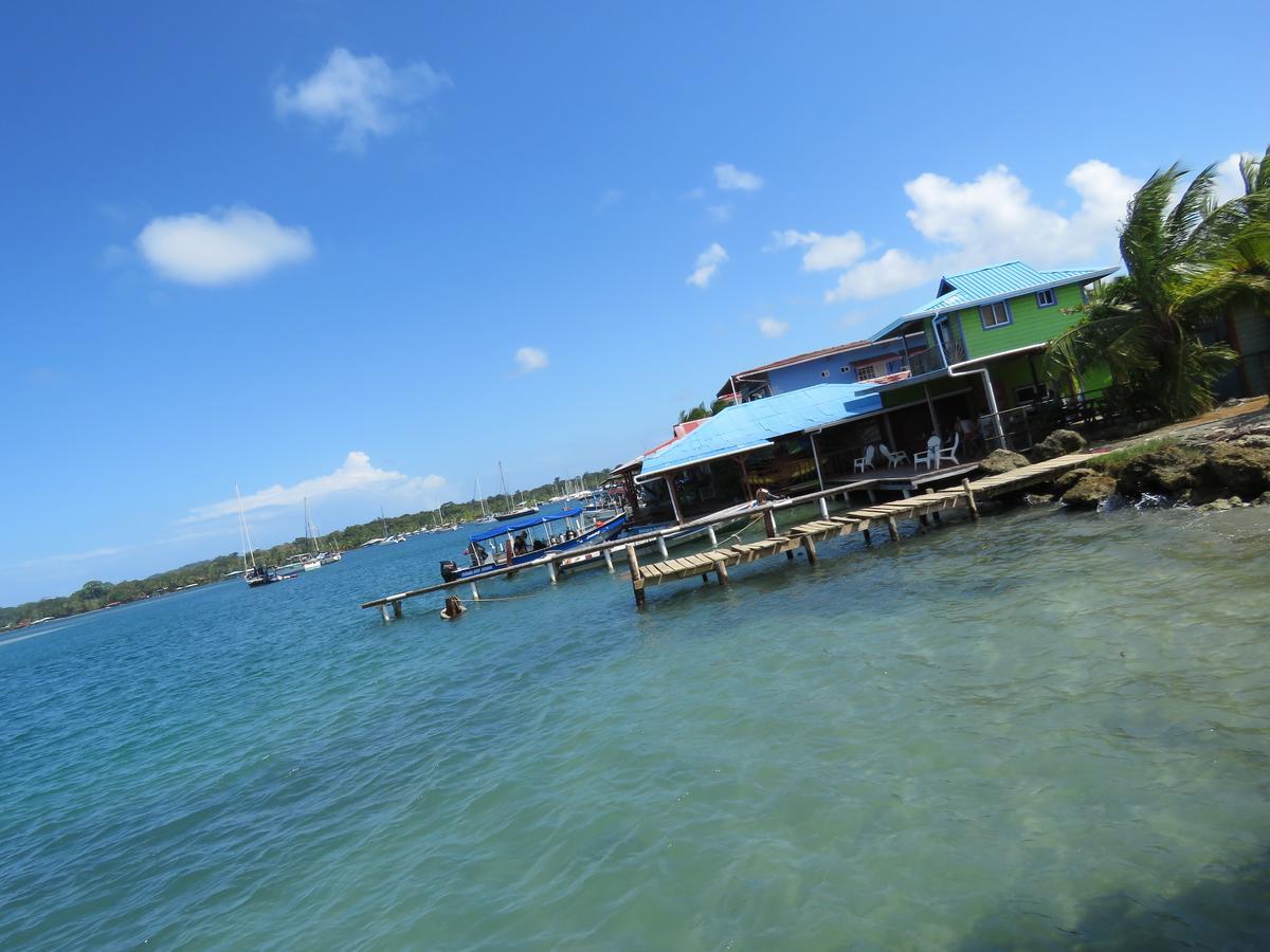 Hostel Mamallena Bocas Del Toro (Adults Only) Eksteriør billede