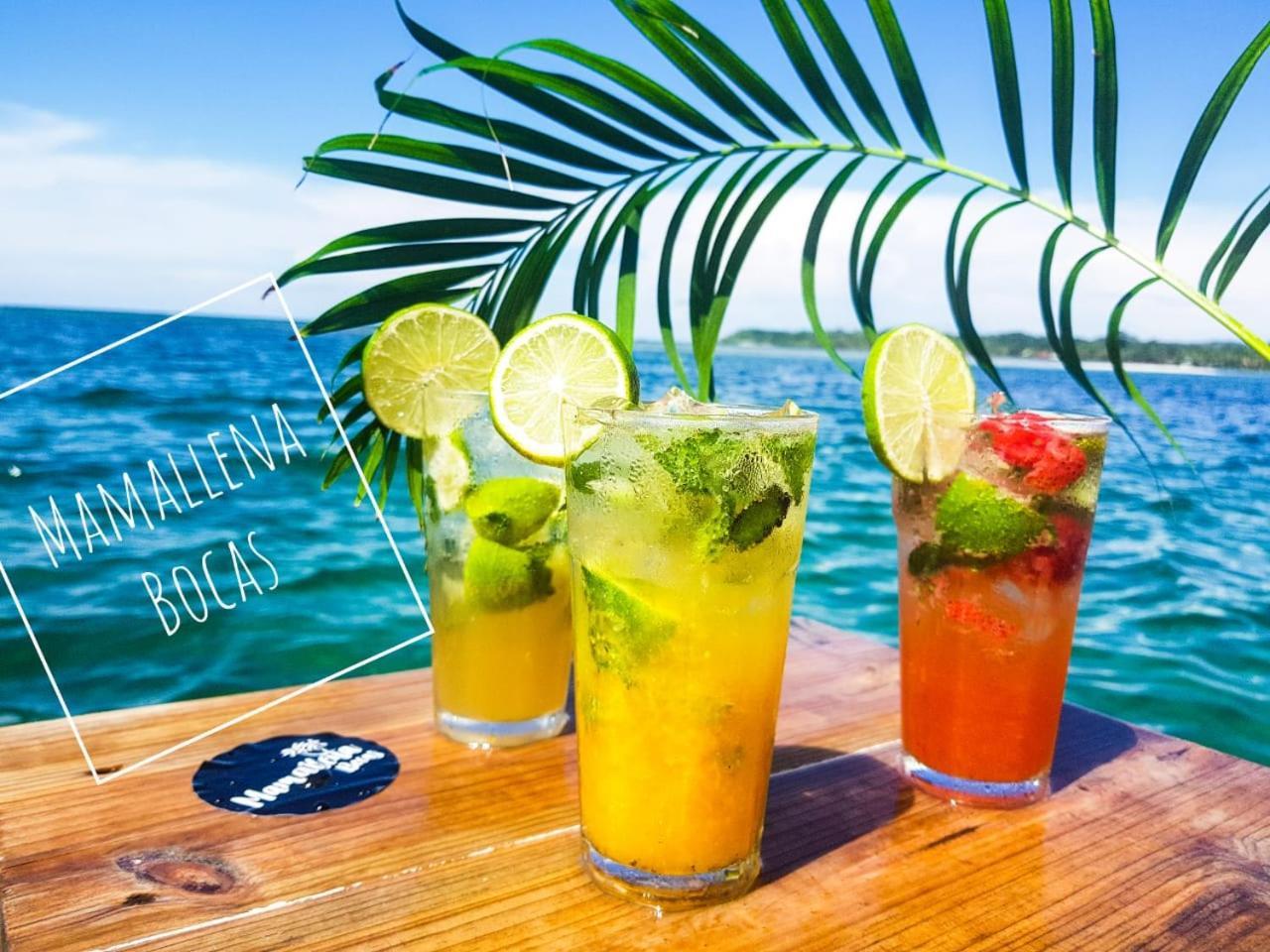 Hostel Mamallena Bocas Del Toro (Adults Only) Eksteriør billede